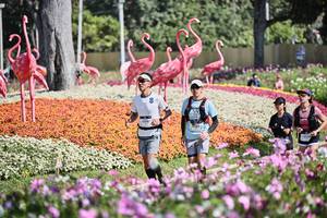 BIB: 
                            <button type="button" onclick="openModal(27793933)" class="btn btn-primary btn-sm float-right btn-popup" data-toggle="modal" data-target=".modal-high-quality">
                        <i class="fas fa-shopping-cart"></i> Add to Cart
                    </button>
                                            <button type="button" onclick="isThisMe(27793933, true)" class="btn btn-success btn-sm float-right btn-popup btn-isme hidden" data-toggle="tooltip" data-placement="bottom" title="นี่คือรูปของคุณใช่ไหม คลิกที่นี่เพื่อเอาเข้าอัลบั้ม">
                        <i class="fas fa-plus"></i> Add to album
                    </button>
                    <button type="button" onclick="isThisMe(27793933, false)" class="btn btn-warning btn-sm float-right btn-popup btn-isnotme hidden">
                        <i class="fas fa-ban"></i> Remove from album
                    </button>